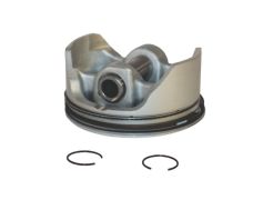 25 874 14-S - Piston W/Rings Style B